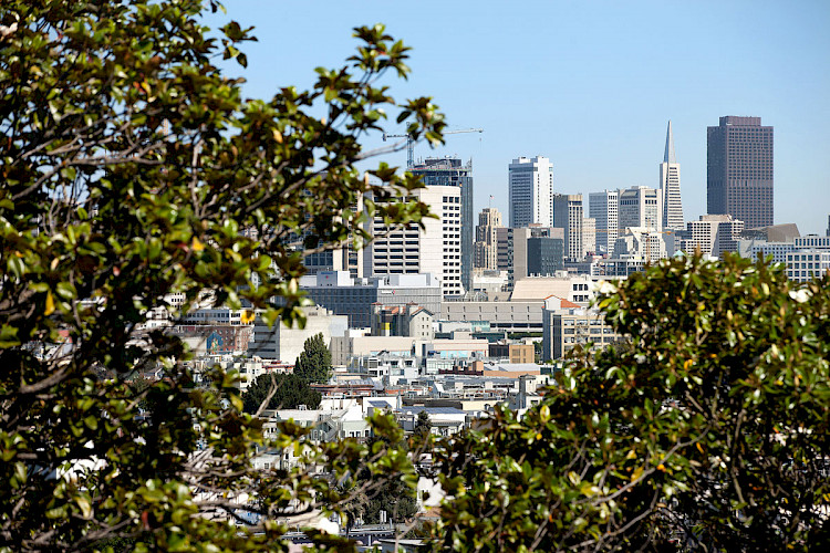 3883 & 3885 20th Street 46