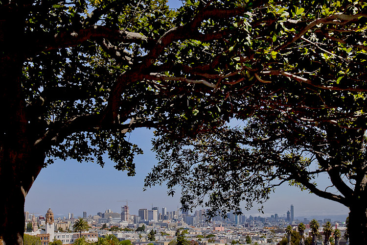 3883 & 3885 20th Street 47