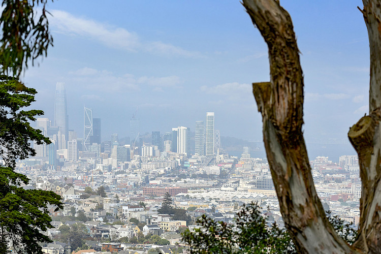 844 Duncan Street 18