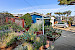 129 Paloma Ave 3