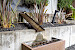 89 Martha Avenue 63