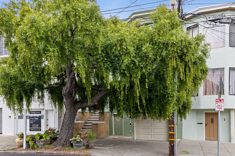 23 Richland Avenue 9
