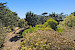 209 N. Lake Merced Hills 47