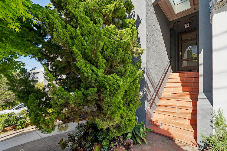 469 Collingwood St 11