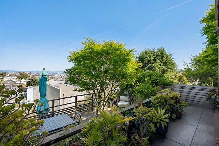 469 Collingwood St 96