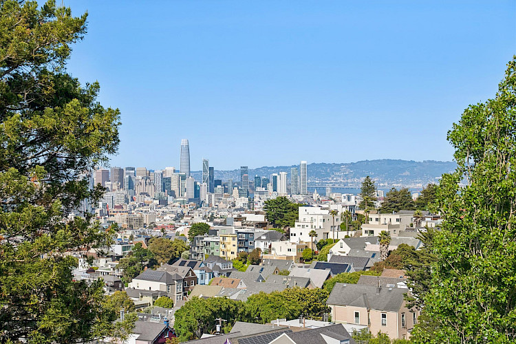 469 Collingwood St 9